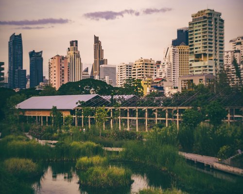 calm evening walk in a Bangkok city park